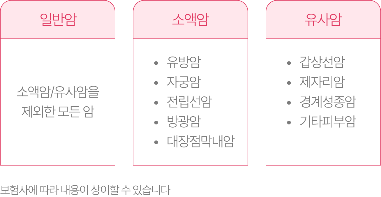 일반암, 소액암, 유사암 종류