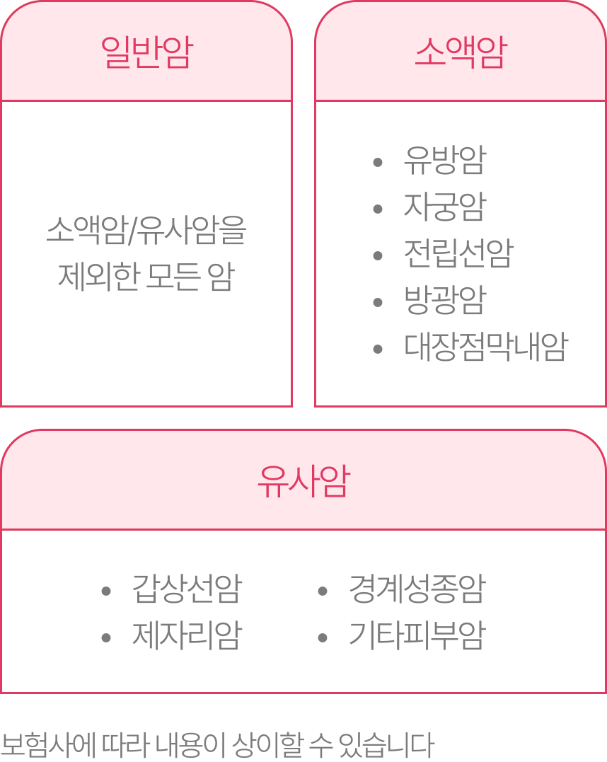 일반암, 소액암, 유사암 종류